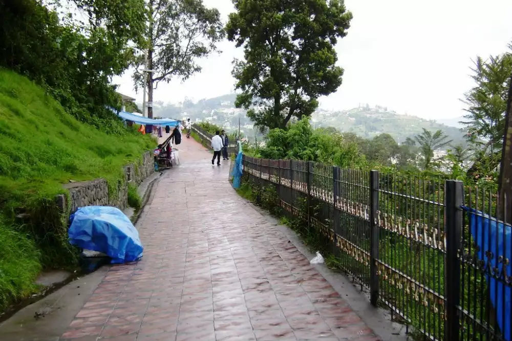 Coaker's Walk