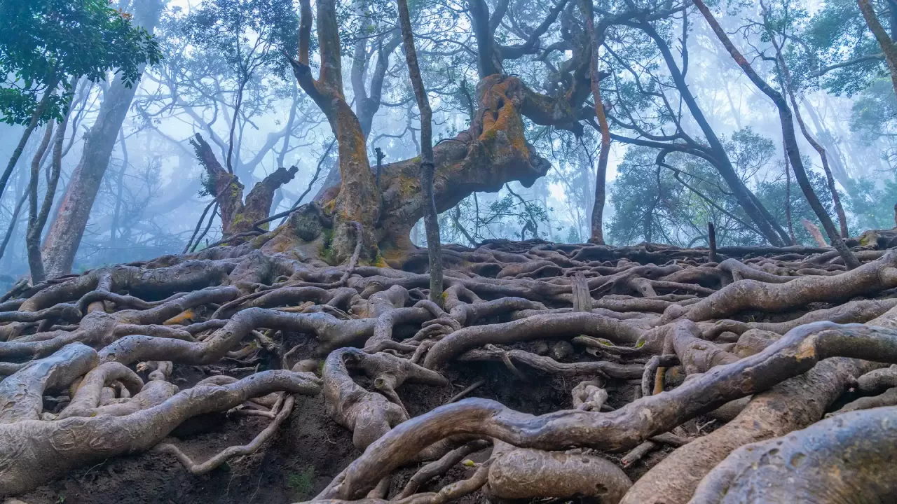 Guna Caves (Devil's Kitchen)