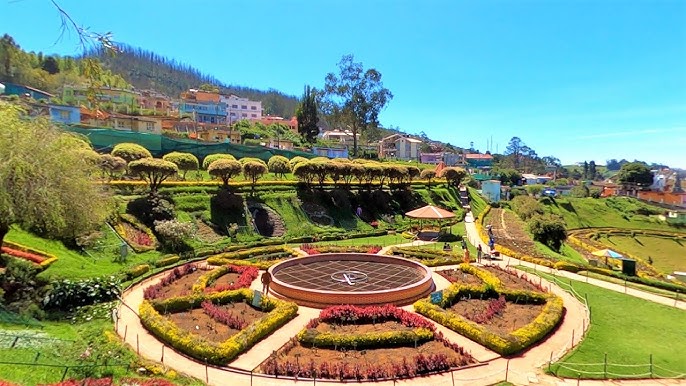 Rose Garden