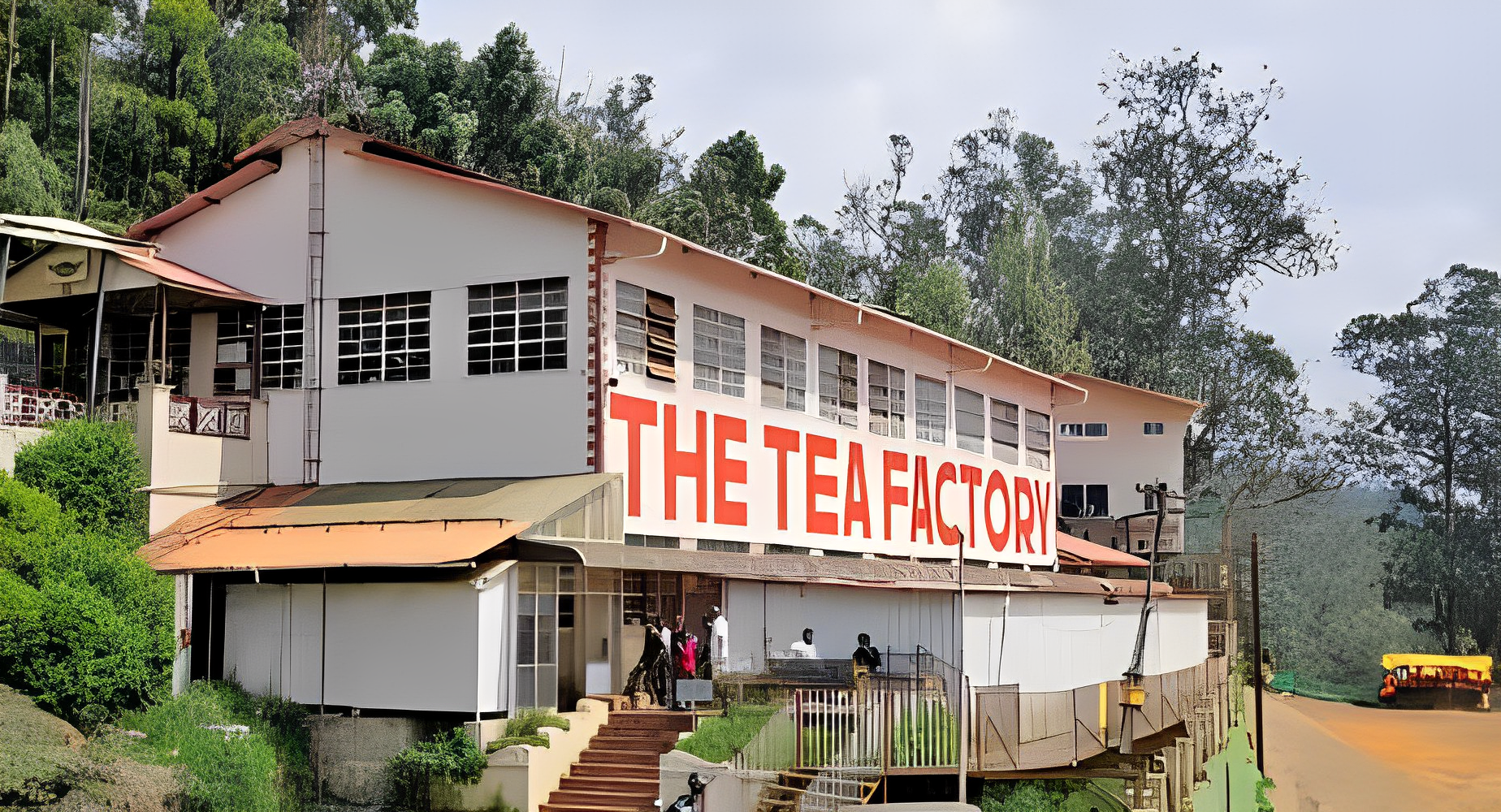 Tea Factory & Museum