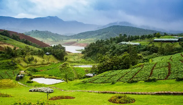 Complete Nilgiris Trip